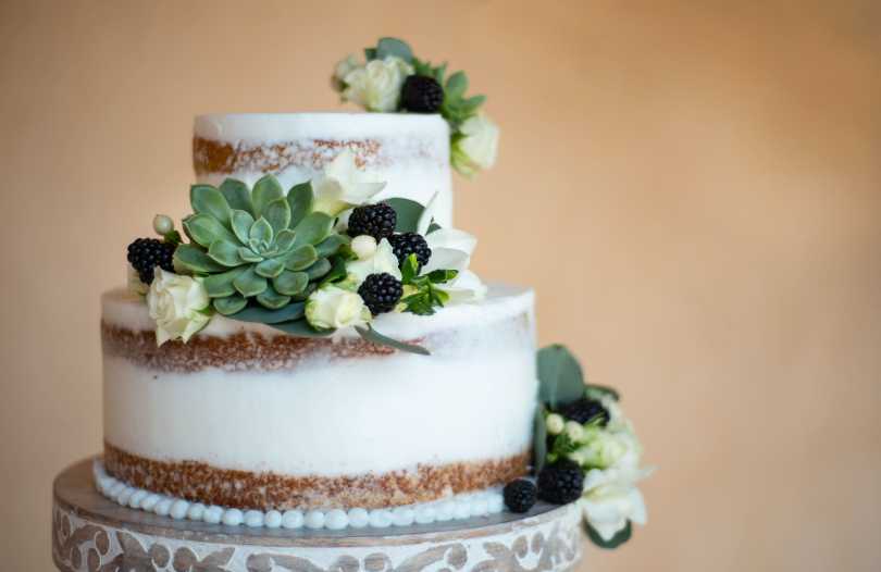 A two-tier cake with decorative succulents, white roses, and blackberries arranged over white frosting